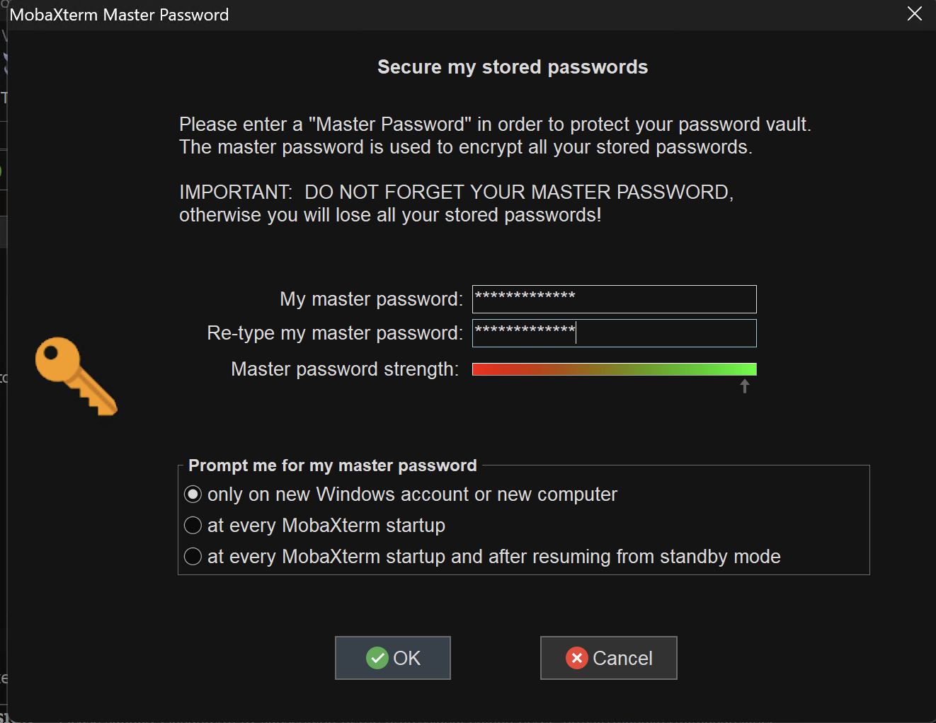 master password